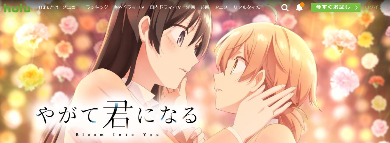 やがて君になるHulu